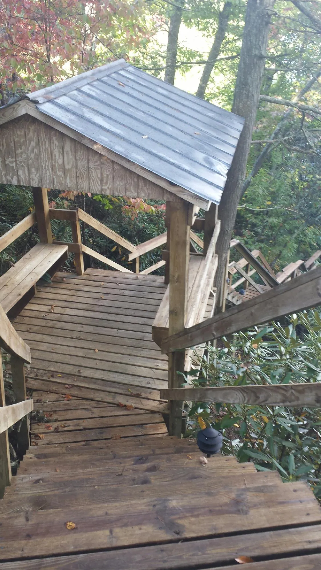 Metal roofed shelter over wooden steps on a wooded walkway — Skylight Repair & Installation work by our crew in Moclips