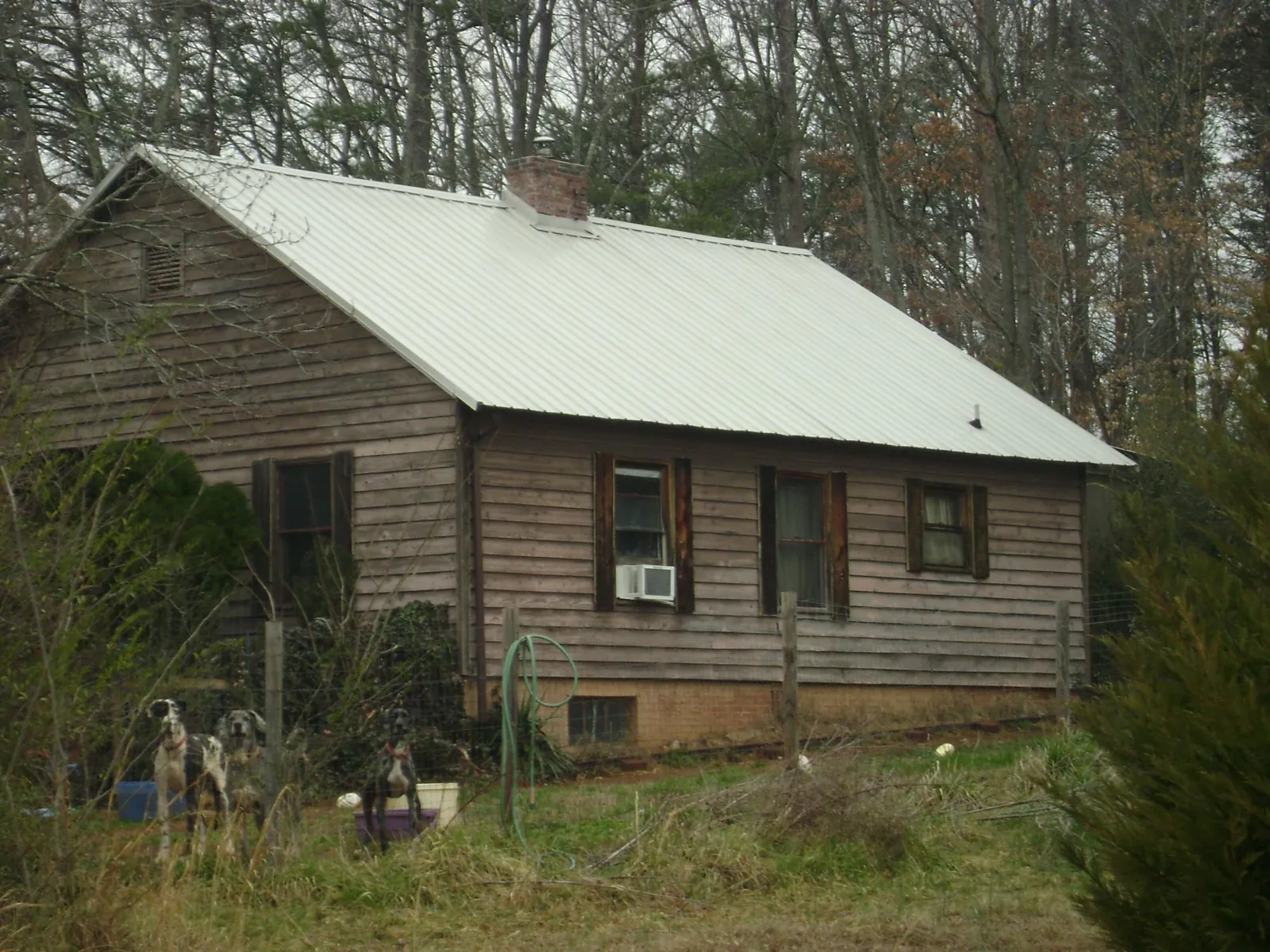 White metal roof on an old wood sided farmhouse, from a Metal Roof Installation job in Moclips